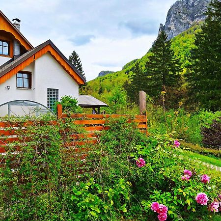 Ingreen House 보힌스카 벨라 외부 사진